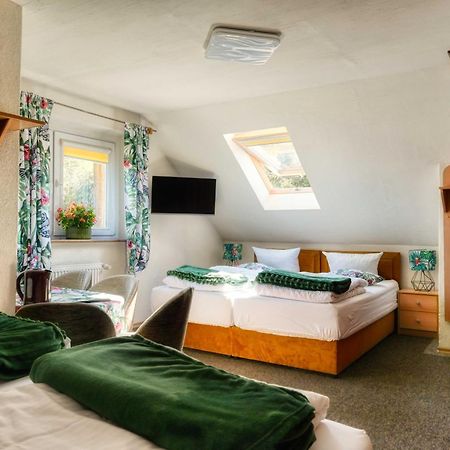Bed and Breakfast Osrodek Jagienka Zieleniec à Duszniki Zdrój Extérieur photo